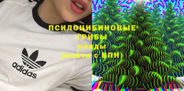гидра Михайлов