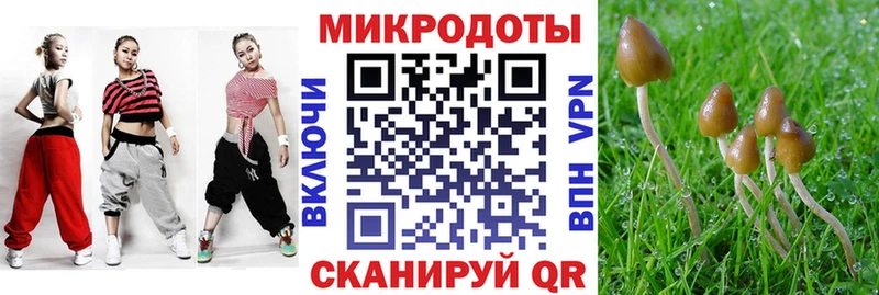Псилоцибиновые грибы Psilocybine cubensis купить Сыктывкар