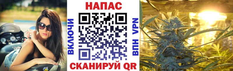 Канабис OG Kush  Сыктывкар 